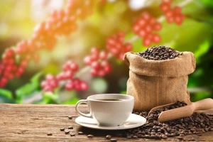 أفضل طريقة لشرب القهوة لإطالة العمر.. والكشف عن عدد الأكواب المسموح بتناولها يوميًا