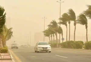 أمطار ورياح وانعدام رؤية على هذه المناطق.. الأرصاد تكشف حالة الطقس المتوقعة اليوم