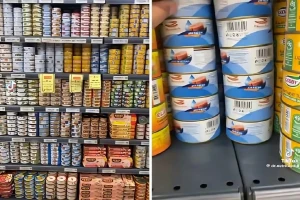 بالفيديو.. مختص يكشف عن أفضل نوع تونة صحية في الأسواق
