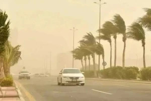 الأرصاد تكشف حالة الطقس المتوقعة اليوم: طقس شديد الحرارة  وأمطار رعدية  وسيول على هذه المناطق!