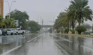 «شديدة الغزارة».. متحدث الأرصاد يكشف عن المناطق الأكثر عرضة لهطول الأمطار في المملكة