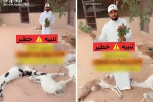بالفيديو: مواطن يكشف عن  شجرة زينة تسببت في وفاة 5 من الماعز  ويوضح خطورتها