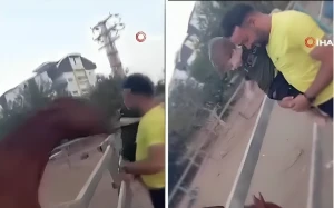 بالفيديو.. حصان يهاجم طفل بشكل مفاجئ ويقذفه في الهواء أمام والده