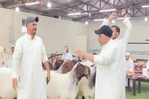 بالفيديو:  مزاد على بيع  14 خروفا في الكويت  بـ200 ألف دينار يثير الجدل على مواقع التواصل