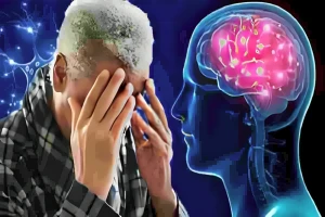 الكشف عن أفضل 10 أطعمة لصحة الدماغ وتعزيز الذاكرة والتركيز