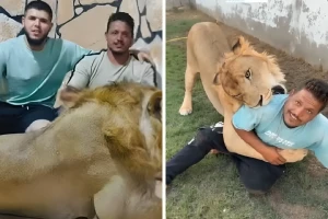 بعدما أثار المقطع جدلًا واسعًا..فيديو جديد يكشف حقيقة “الأسد والعامل المصري” في ليبيا