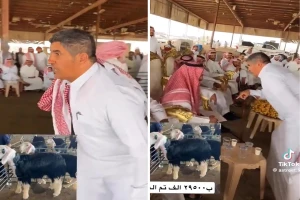 وسط حماس الدلال وتفاعل الحضور..بالفيديو : مزاد على خروف بأكثر من 29 ألف ريال في حائل يثير الجدل