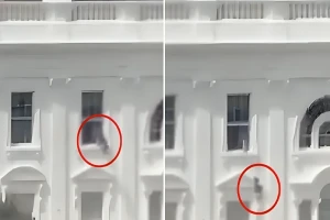 بالفيديو.. شخص يلقي أكياس نفايات من نافذة في البيت الأبيض ويثير الجدل