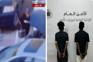 القبض على شخصين لسرقتهما أجزاء من مركبتين متوقفتين في الرياض - فيديو