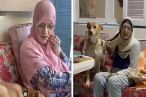 بالفيديو.. أحدث ظهور للفنانة المعتزلة شمس البارودي بعد وفاة زوجها حسن يوسف