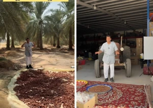 بالفيديو: "الزعاق" يكشف عن طريقة كنز التمور ويجري الخطوات باستخدام المكبس