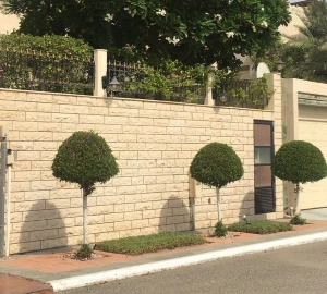 أمانة القصيم: زراعة 3 أشجار أمام السور الخارجي شرط للحصول على ترخيص بناء المنازل الجديدة!