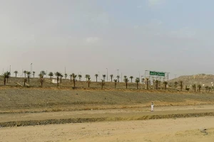 منظومة "الأراضي البيضاء":تمديد مهلة ⁧‫رسوم الأراضي البيضاء‬⁩ في حالتين