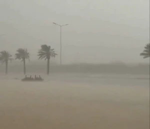 بالفيديو.. أمطار غزيرة مصحوبة برياح نشطة في ينبع
