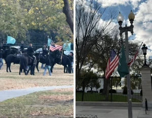 بالصور: بروفات الخيالة الأمريكية  أمام البيت الأبيض ورفع أعلام السعودية استعداداً لزيارة ولي العهد