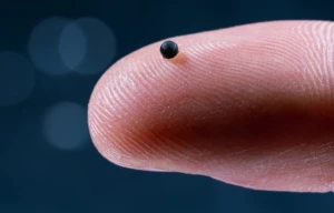 بحجم حبة رمل ويستخدم في علاج تمدد الأوعية والسرطان.. روبوت جديد يمكنه إيصال الأدوية بدقة عبر مجرى الدم