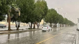 الأرصاد تكشف حالة الطقس المتوقعة اليوم: أمطار رعدية ورياح نشطة على هذه المناطق!