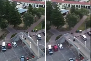 بالفيديو.. «درون» توثق لحظة مقتل مسلح وإصابة الآخر أثناء تبادل إطلاق النار مع الشرطة خلال الهجوم على تجمع يهودي في سيدني