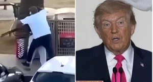 بالفيديو.. ترامب يعلق على تصدي الأسترالي المسلم لمطلق النار على يهود شاطئ بوندي في سيدني