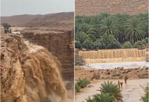 بالفيديو: غزارة الأمطار وتدفق السيول تتحول إلى شلالات في الداهنة ومزارع الغاط