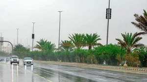 الأرصاد تكشف حالة الطقس المتوقعة اليوم: أمطار غزيرة تؤدي إلى جريان السيول على هذه المناطق!