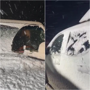 بالفيديو.. الثلوج الكثيفة تغطي سيارة في جبل عقاب بالروضة جنوب حايل وتحولها للون الأبيض