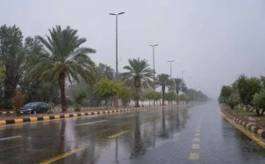 الأرصاد تكشف حالة الطقس المتوقعة اليوم: أمطار رعدية وصقيع وضباب على هذه المناطق!