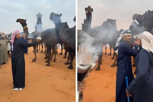فيديو تبخير النياق في مهرجان الصياهد يثير الجدل
