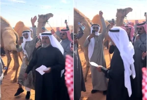 بالفيديو.. مواطن يتلقى ركلة قوية من "ناقة" كادت أن تسقطه أرضا في مهرجان الصياهد