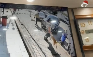 فيديو لكلب يعض شاب عراقي في شارع ببغداد.. وبعد 40 يوماً من تلقيه لقاح داء الكلب كانت المفاجأة!