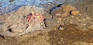 ضبط مواطن لإشعاله النار في غير الأماكن المخصصة لها بمحمية الإمام فيصل بن تركي.. والكشف عن العقوبة المتوقعة بحقه