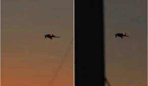 بالفيديو.. مسيّرة فائقة السرية ترافق القوات الأميركية خلال عملية اعتقال مادورو وزوجته