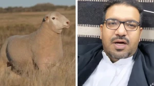 بالفيديو ... مختص يكشف عن قرب استيراد أغنام الدرومر بكميات كبيرة في المملكة ... ويوضح أبرز مميزاتها