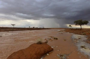 الأرصاد تكشف حالة الطقس المتوقعة اليوم: سحب ممطرة ورياح نشطة على هذه المناطق!