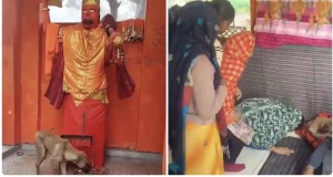 بعد دورانه حول صنم هندوسي ...بالفيديو: كلب مشرد يتحول إلى مزار ديني في الهند وآلاف الزوار يسجدون له