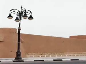 تقرير يكشف سبب تسمية «لينة» بهذا الاسم- فيديو