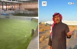 بالفيديو.. قصة مواطن استزرع سمك السلمون في صحراء النفود.. والكشف عن كمية إنتاجه السنوية