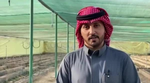 بالفيديو.. مزارع سعودي يكشف قصة زراعة 10 آلاف شتلة فراولة في محافظة طبرجل