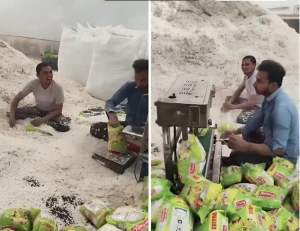 «مكتوب عليها جودة عالية» بالفيديو.. عمال هنود يعبئون أكياس أشهر أنواع المقرمشات بطريقة غير صحية وسط انتشار الحشرات والقوارض داخل مصنع بالهند