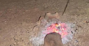 ضبط مواطن لإشعاله النار في غير الأماكن المخصصة لها بمحمية الأمير محمد بن سلمان.. والكشف عن العقوبة المتوقعة بحقه