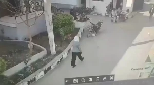 بالفيديو: موظفة مصرية تنهال بالضرب على زميلها في العمل