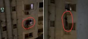 «كده كده هموت.. عايزين مني إيه سيبوني».. بالفيديو: محاولة هروب لص كادت تنتهي بكارثة من الدور العاشر في عمارة سكنية بالقاهرة