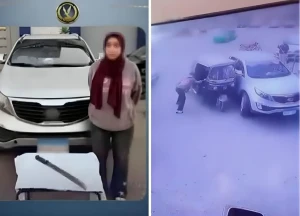 مصر.. بالفيديو.. فتاة تقطع الطريق على «سائق» وتمزق جسده بـ«ساطور» وسط الشارع في المنوفية