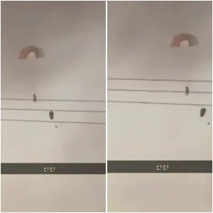 فيديو جديد من زاوية أخرى للحظة هبوط الطيار الأمريكي في الكويت بعد تحطم طائرته!