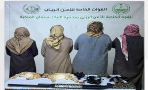 القبض على 4 مواطنين والتشهير بهم لارتكابهم مخالفة الصيد في محمية الملك سلمان الملكية .. والكشف عن المضبوطات التي عثر عليها بحوزتهم!