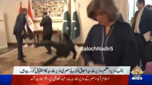 بالفيديو: لحظة سقوط وزير الخارجية الباكستاني أثناء استقباله لوزير الخارجية المصري