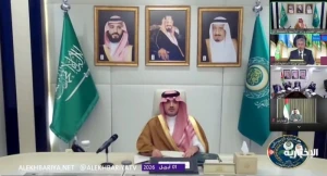 فلسفة الصدفة في حياتنا اليومية main