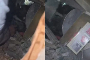 بالفيديو.. لحظة إنقاذ طفلة لبنانية محتجزة تحت أنقاض منزلها في بيروت