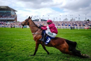 بالفيديو.. لحظة إصابة حصان بكسر في الظهر وفوزه بالسباق في بريطانيا