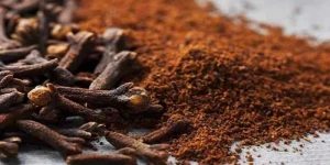 هل القرنفل يوقف نزيف الجروح ويخدر الألم؟.. خالد النمر يجيب ويكشف الطريقة الصحيحة للعلاج